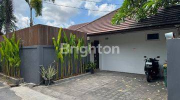 Gambar 3 Beautiful Villa 3 Bedroom For Rent At Kerobokan  Canggu