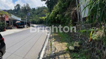 Gambar 2 Tanah Pinggir Jalan Raya Bedugul View Danau