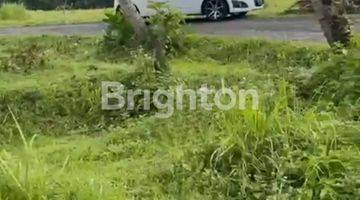 Gambar 3 Tanah Kuwum View Sawah dan Gunung