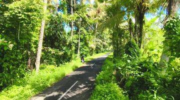 Gambar 3 Dijual Murah Tanah View Sawah Jungle di Main Road Pejeng Kangin Ubud 