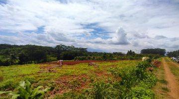 Gambar 1 800 Meter Ke Jl. Raya Sukahati Cibinong, Tanah Kavling SHM