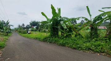 Gambar 3 Dekat Tol Bocimi Dijual Tanah Kavling Murah Free SHM