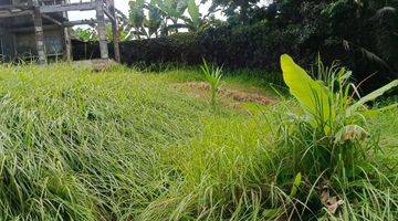 Gambar 3 PASTI DEAL DI JUAL TANAH LOSS SUNGAI VIEW SAWAH LOKASI PEJENG KANGIN UBUD GIANYAR 
