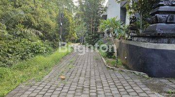 Gambar 5 TANAH 180 M2 ONE GATE SISTEM TABANAN