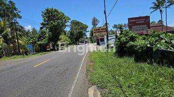 Gambar 3 TANAH PINGGIR JALAN RAYA DENPASAR GILIMANUK LOS PANTAI 2280 M2