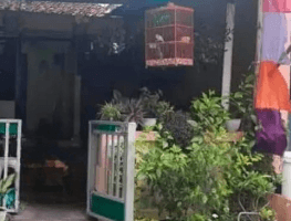 Gambar 3 Dijual Rumah di Jl Pekunden Utara, Semarang