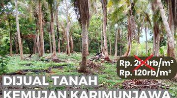 Gambar 1 Tanah dijual dikarimunjawa