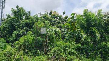 Gambar 3 Land Suitable For Investment In Main Road Jimbaran