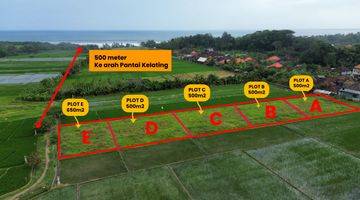 Gambar 2  Tanah Premium Zona Pariwisata di Kelating, Tabanan