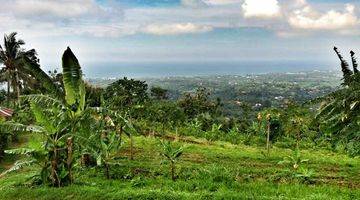 Gambar 1 Tanah Dijual Di Buleleng Bali View Pantai Lovina