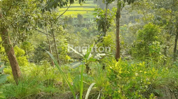 Gambar 1 TANAH KEBUN DI BARENG SAWAHAN NGANJUK