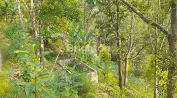 Gambar 2 TANAH KEBUN DI BARENG SAWAHAN NGANJUK