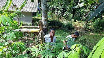 Gambar 3 Tanah di Bojong Koneng kilometer nul gowes, cocok untuk budidaya pertanian  maupun untuk vila dan cafe