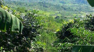 Gambar 5 Tanah di Bojong Koneng kilometer nul gowes, cocok untuk budidaya pertanian  maupun untuk vila dan cafe