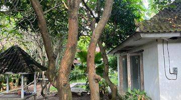 Gambar 4 Dijual Tanah Bonus Rumah Kayu  di Jalan Pantai Gumicik Ketewel , Ketewel