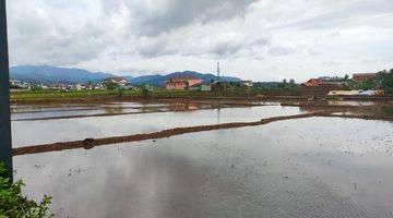 Gambar 1 Dijual Tanah Sawah Produktif Cocok Dibuat Perumahan 