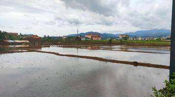 Gambar 2 Dijual Tanah Sawah Produktif Cocok Dibuat Perumahan 