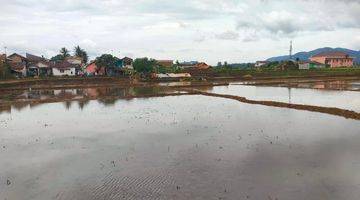 Gambar 3 Dijual Tanah Sawah Produktif Cocok Dibuat Perumahan 