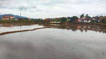 Gambar 4 Dijual Tanah Sawah Produktif Cocok Dibuat Perumahan 