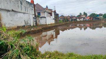 Gambar 5 Dijual Tanah Sawah Produktif Cocok Dibuat Perumahan 