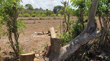 Gambar 5 Land For Sale at ungasan, 68 Are. Near to Savaya & Sundays beach 