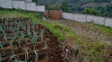 Gambar 4 di jual lahan view cakep ke gunung salak di pancawati