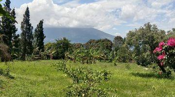 Gambar 5 di Jual Lahan Kebun Durian di Caringin Bogor