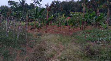 Gambar 4 di Jual Lahan Kebun Subur Dengan View Gunung di Tapos Ciawi