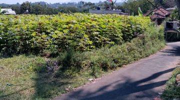 Gambar 5 di Jual Tanah Kebun Subur di Tapos Cibedug Kecamatan Ciawi