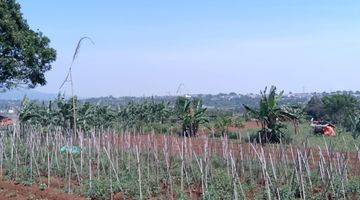 Gambar 2 di Jual Tanah Kebun Masih Murah View Gunung di Tapos Kecamatan Ciawi 