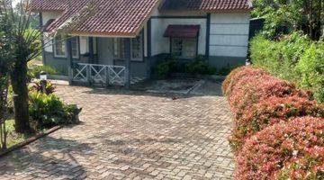 Gambar 1 di jual rumah/villa kebun di cigombong