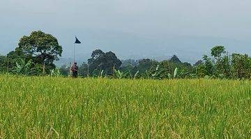 Gambar 1 di Jual Villa Mewah Berikut Kebun Dan Sawah Subur di Cijeruk