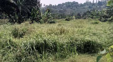 Gambar 4 di Jual Lahan Kebun Murah di Tangkil Caringin