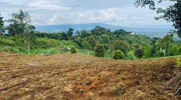 Gambar 5 di Jual Lahan Kebun View Cakep di Pancawati Caringin