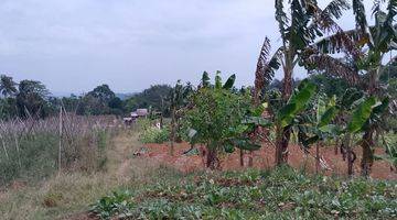 Gambar 1 di Jual Lahan Kebun Subur Dingin Dan View Gunung di Tapos Ciawi