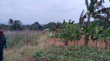 Gambar 2 di Jual Lahan Kebun Subur Dingin Dan View Gunung di Tapos Ciawi