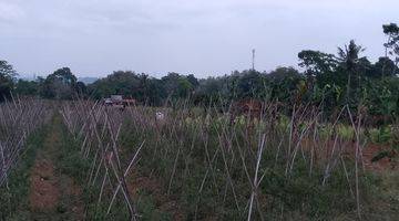 Gambar 2 di Jual Lahan Kebun Subur Dengan View Gunung di Tapos Ciawi