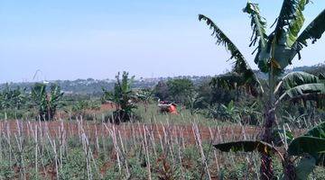 Gambar 1 di Jual Tanah Kebun Masih Murah View Gunung di Tapos Kecamatan Ciawi 