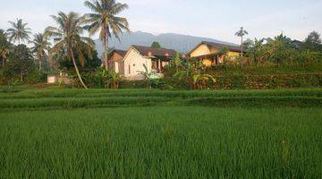 Gambar 4 di Jual Tanah Sawah Produktif Dan Air Melimpah di Caringin