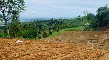 Gambar 3 di Jual Lahan Kebun View Cakep di Pancawati Caringin