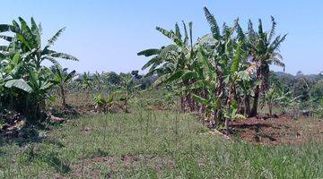 Gambar 3 di Jual Tanah Kebun Murah View Gunung di Tapos Kecamatan Ciawi 