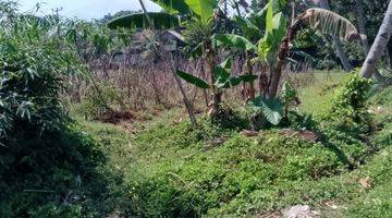 Gambar 1 di Jual Tanah Kebun Air Melimpah di Tapos Cibedug Kecamatan Ciawi 