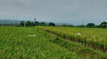 Gambar 2 di Jual Villa Mewah Berikut Kebun Dan Sawah Subur di Cijeruk