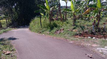 Gambar 2 di Jual Tanah Kebun Cocok Untuk Tempat Istirahat di Tapos Kecamatan Ciawi 