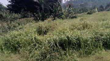 Gambar 2 di Jual Lahan Kebun Murah di Tangkil Caringin