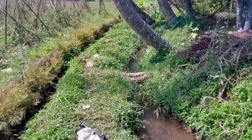 Gambar 5 di Jual Tanah Kebun Air Melimpah di Tapos Cibedug Kecamatan Ciawi 