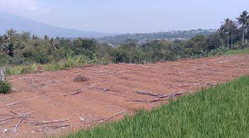 Gambar 1 di Jual Tanah Sawah Produktif Dan Kebun di Cibedug Tapos Kecamatan Ciawi 