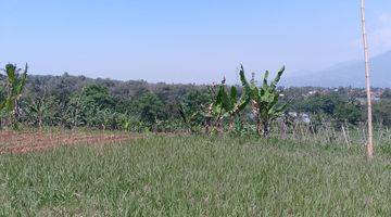 Gambar 5 di Jual Tanah Kebun Murah View Gunung di Tapos Kecamatan Ciawi 