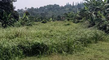 Gambar 1 di Jual Lahan Kebun Murah di Tangkil Caringin