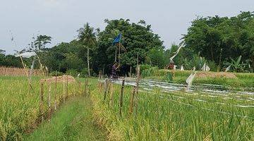 Gambar 4 di Jual Villa Mewah Berikut Kebun Dan Sawah Subur di Cijeruk